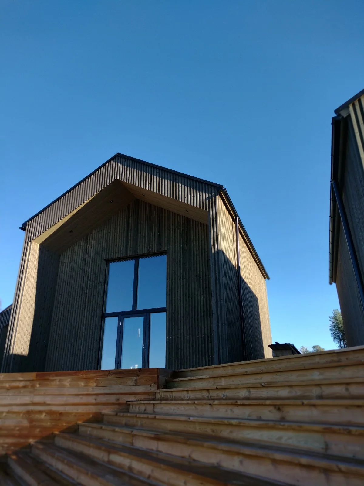 IMG 20221008 123545221 MF PORTRAIT